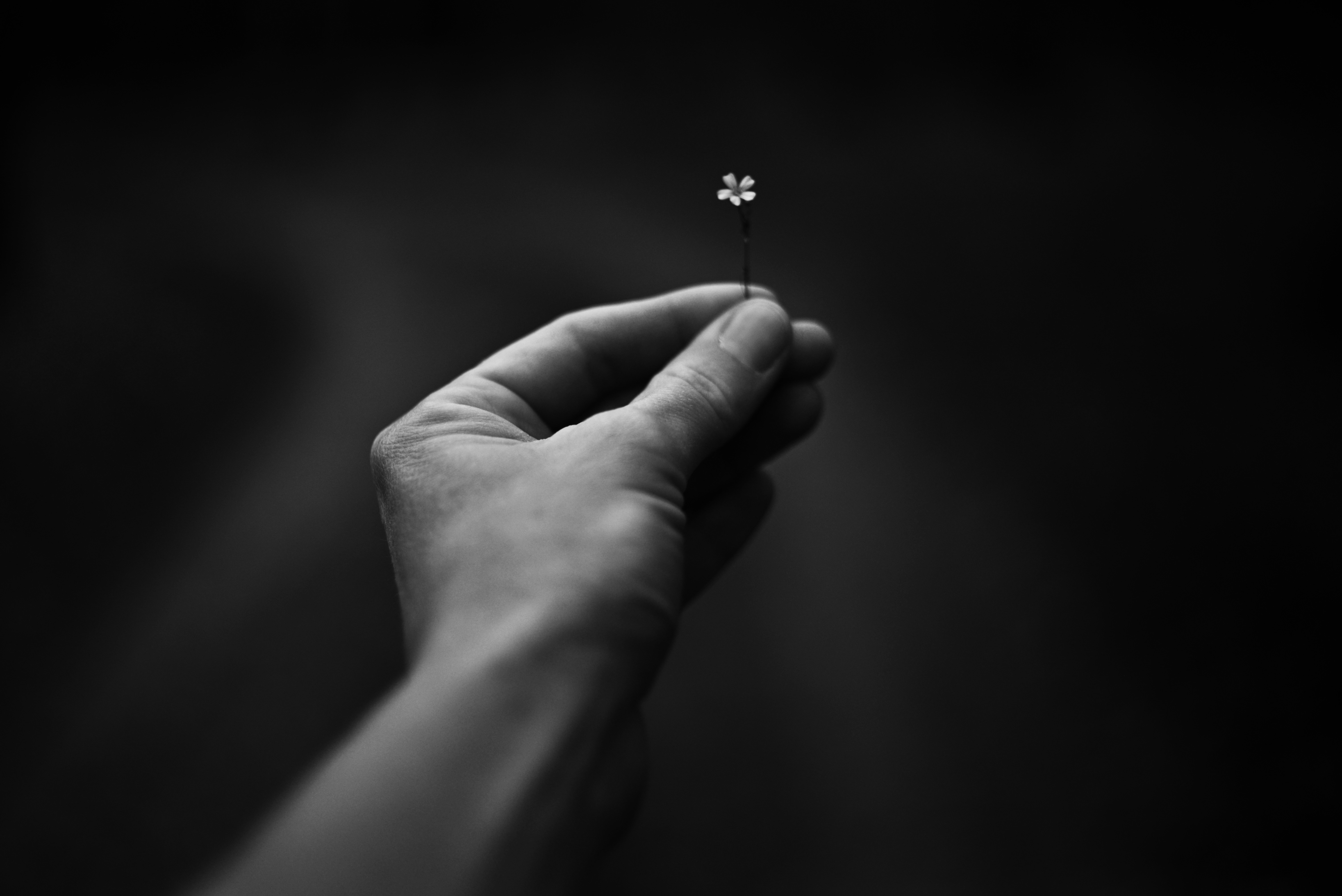 Why the Smallest Details Matter Most in Customer Experience