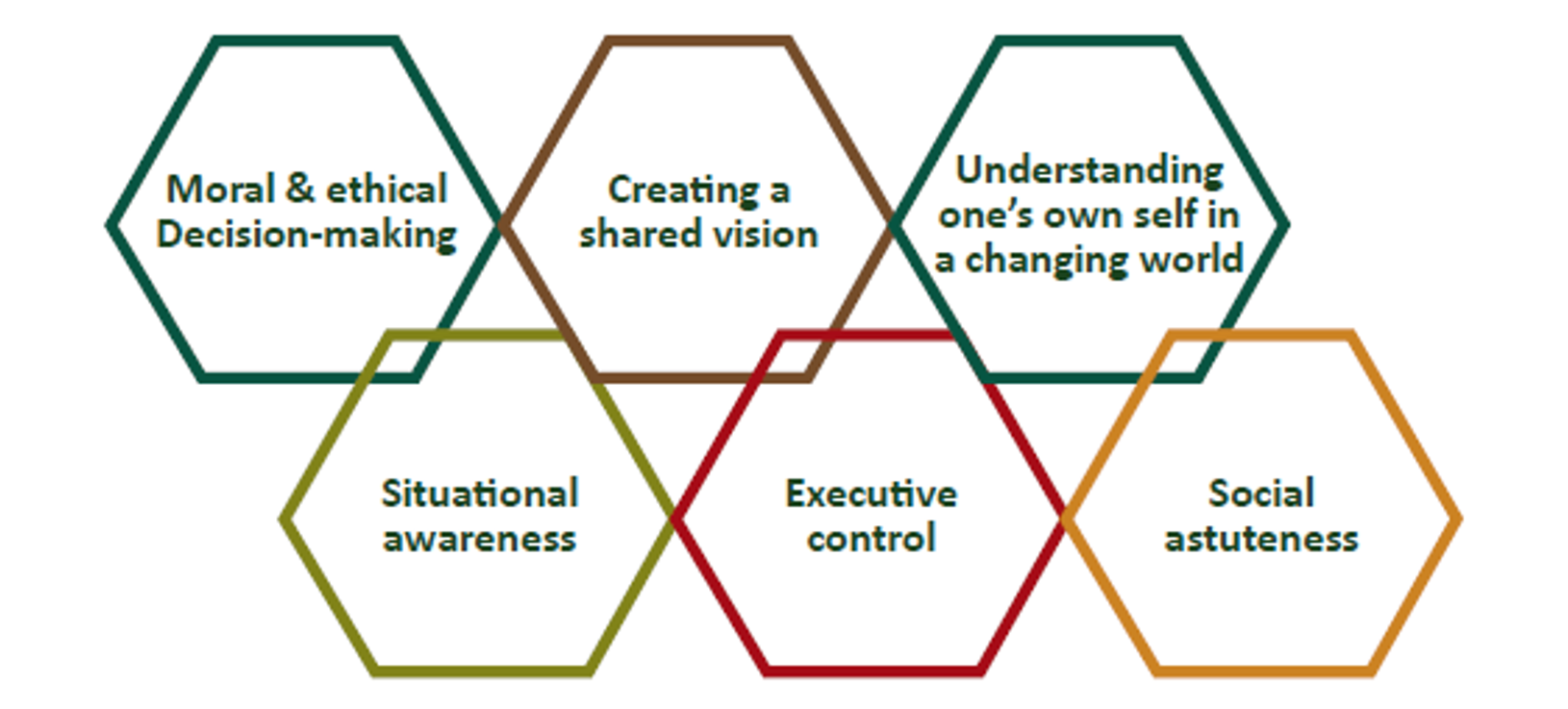 greater neurological capacity in six areas: