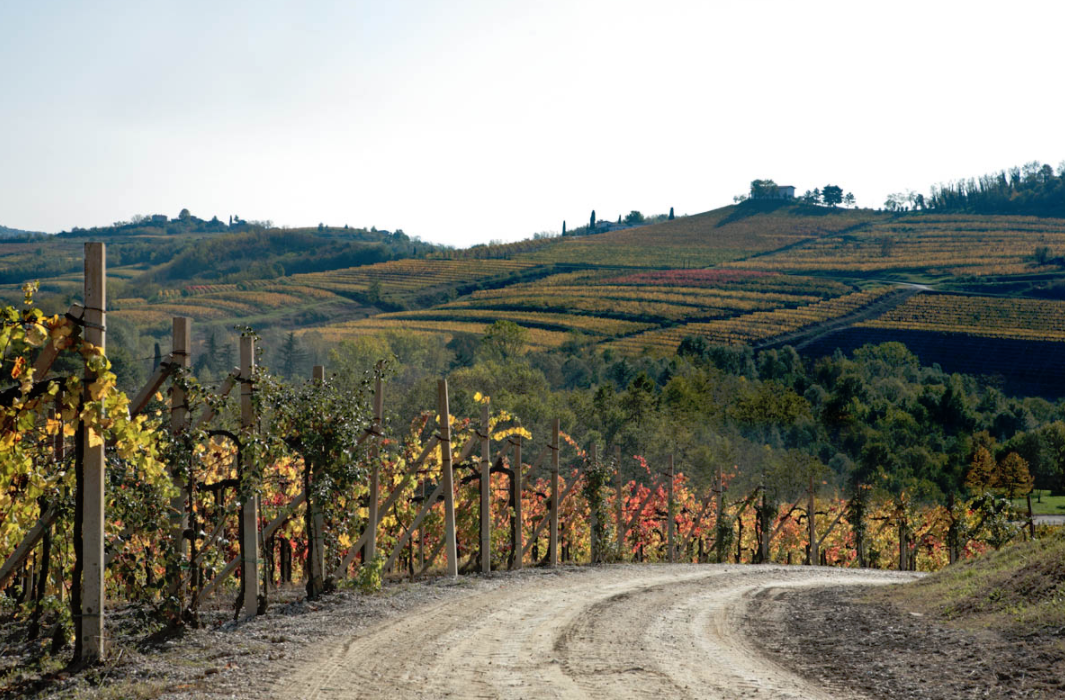 Tenuta Sant Helena Fantinel Winery